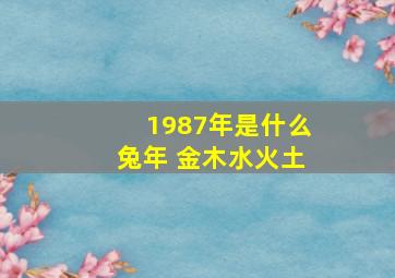 1987年是什么兔年 金木水火土